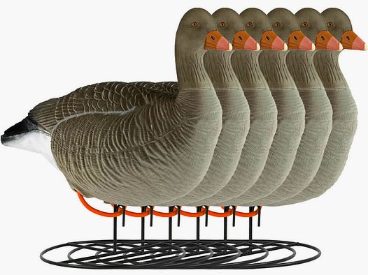 Krale Decoy Greylag Goose Flocked Resting 6-pack