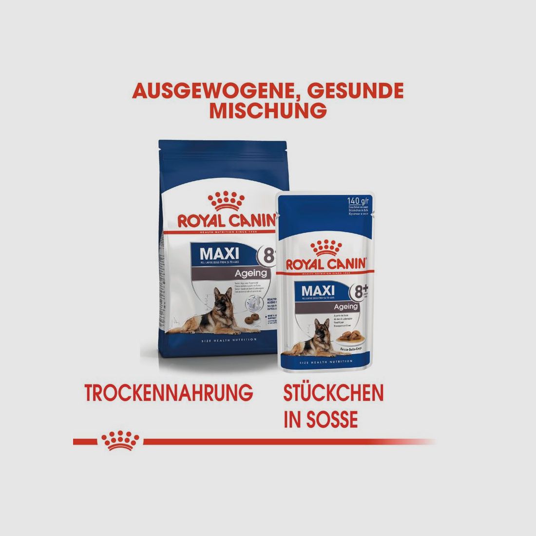 ROYAL CANIN Ältere Große Hunde Nassfutter Maxi Ageing 8+ 10x140 g