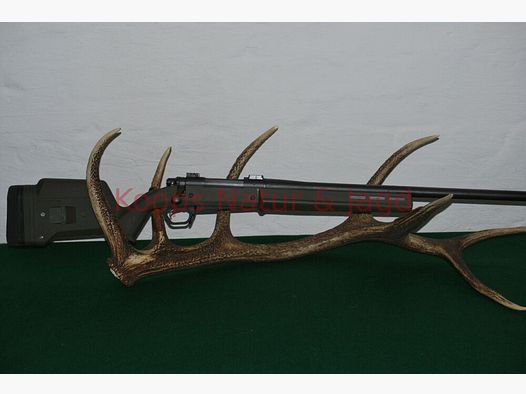 Remington 700