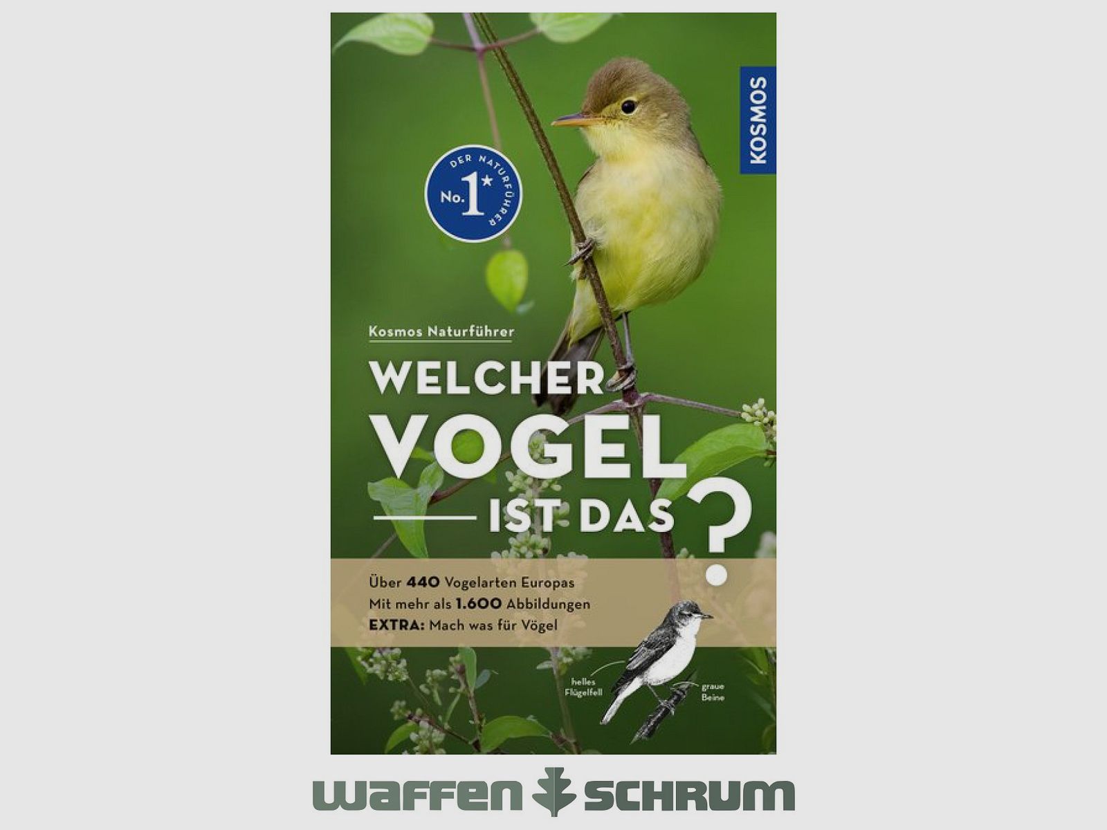 Cosmos Which bird is that? Dierschke