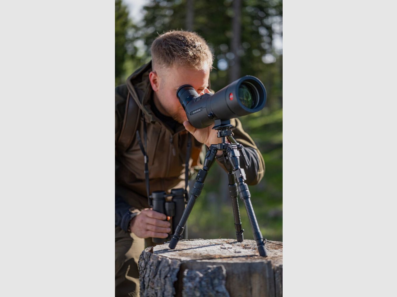 Leica Televid HD65 Set 20-60x