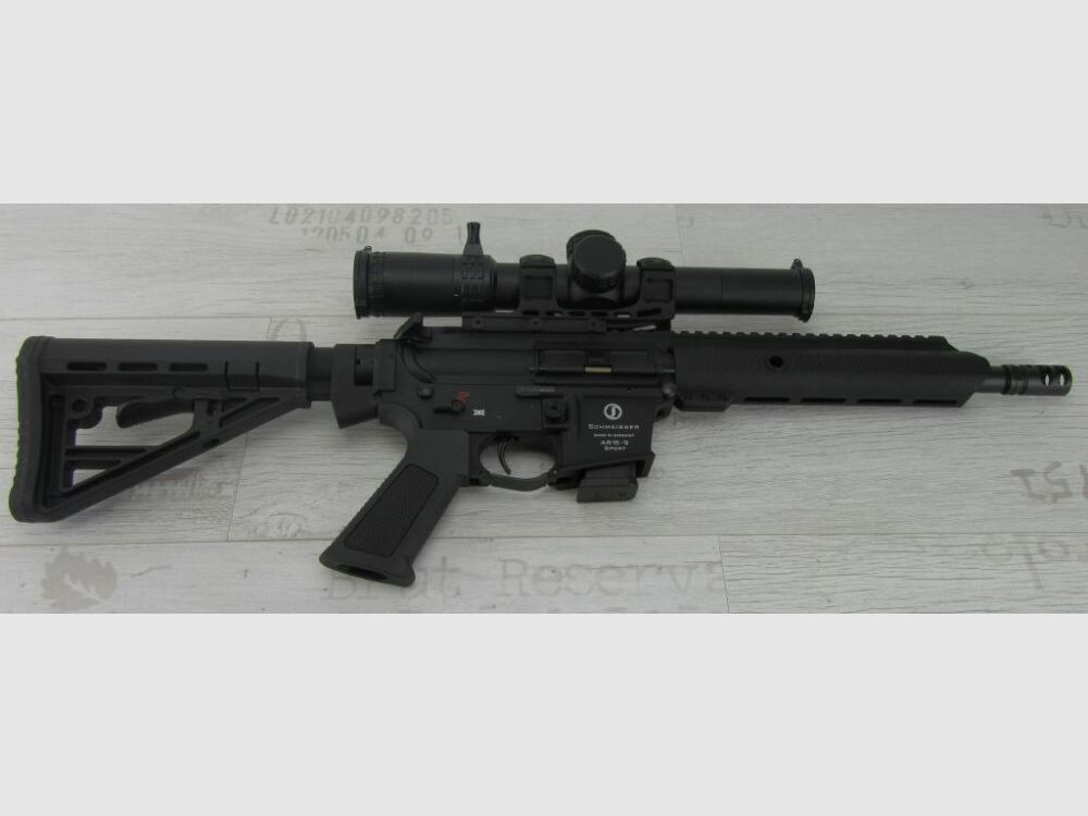 Schmeisser AR15-9 Sport, imagen 1 de 7