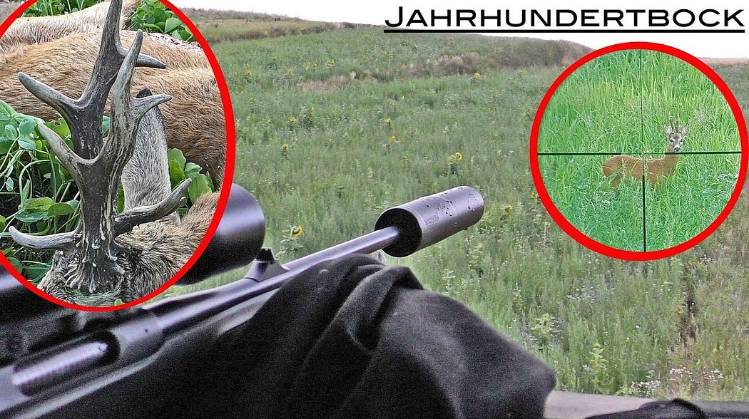 Jahrhundertbock - Ungerader 12er - Bockjagd Bayern