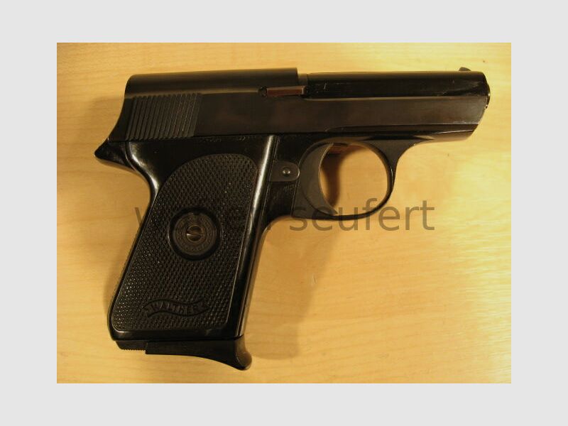 Walther TP 22lr Pistool