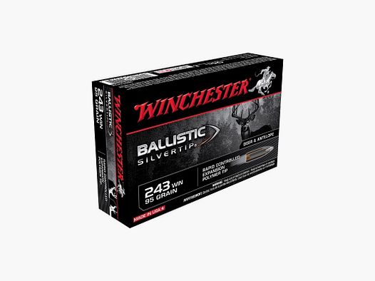 Winchester .243 Win Extreme Point