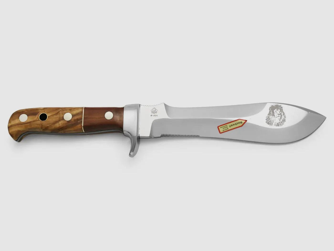 PUMA white hunter, lion