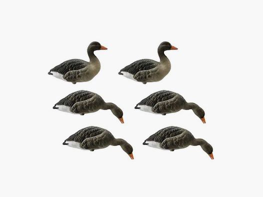 KIT 6 stuks FINAL APPROACH VAN WILDGAAN VORMEN