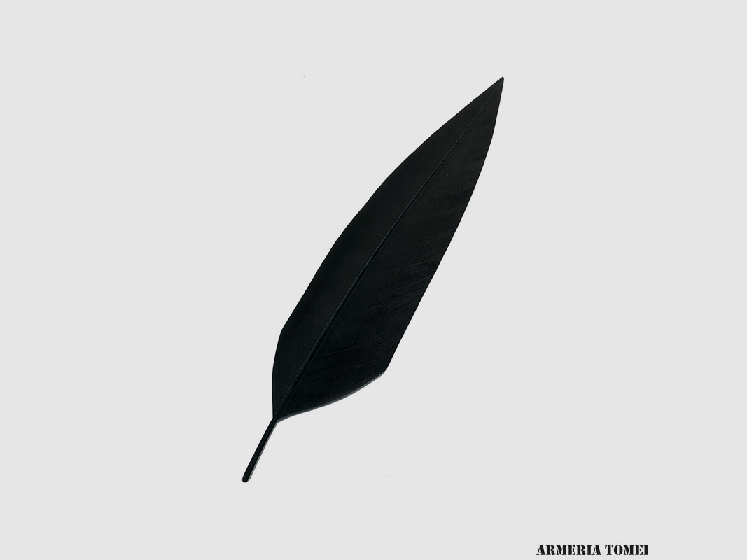 PENNA – CHAPEAU ALPIN – NOIR