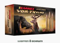 Barnes TTSX 10,4g - 160gr 8x57JS