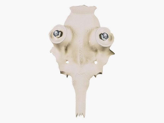 Damhirschschädel aus Aluminium – 25 mm
