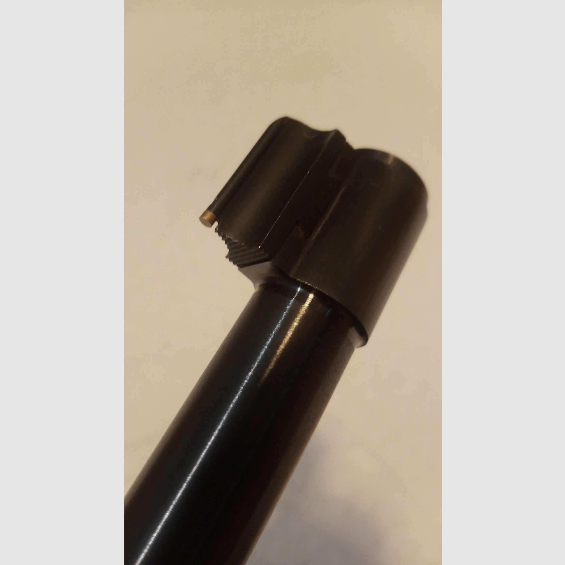 Ruger Carbine 10/22 in .22 lfB gebraucht