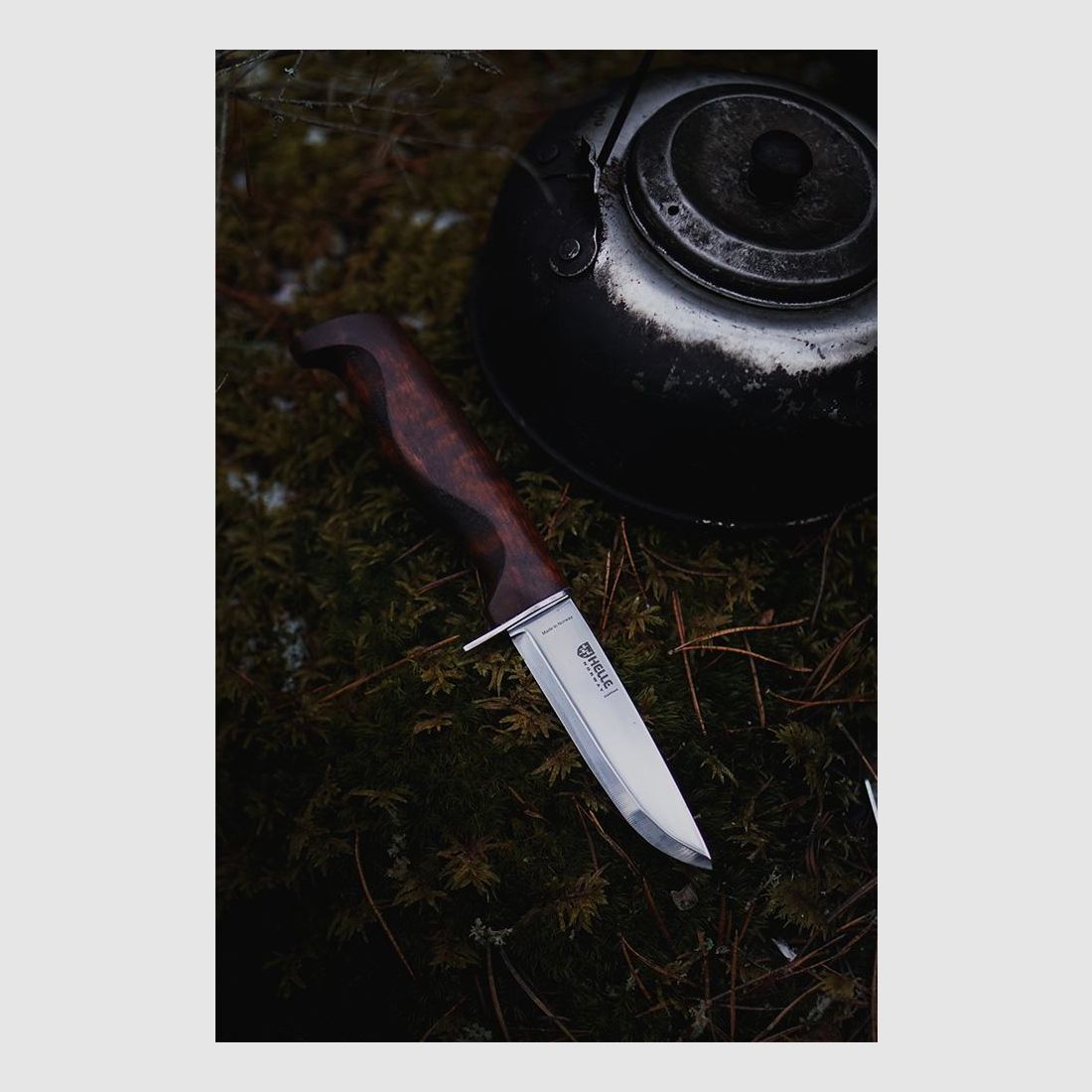 Coltello da Caccia Luminoso Speider, immagine 2 di 3