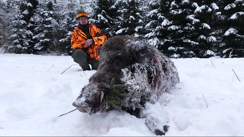 Schnelle Sauen im Schnee - Drückjagd in Masuren