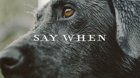 Sitka Films: Say When