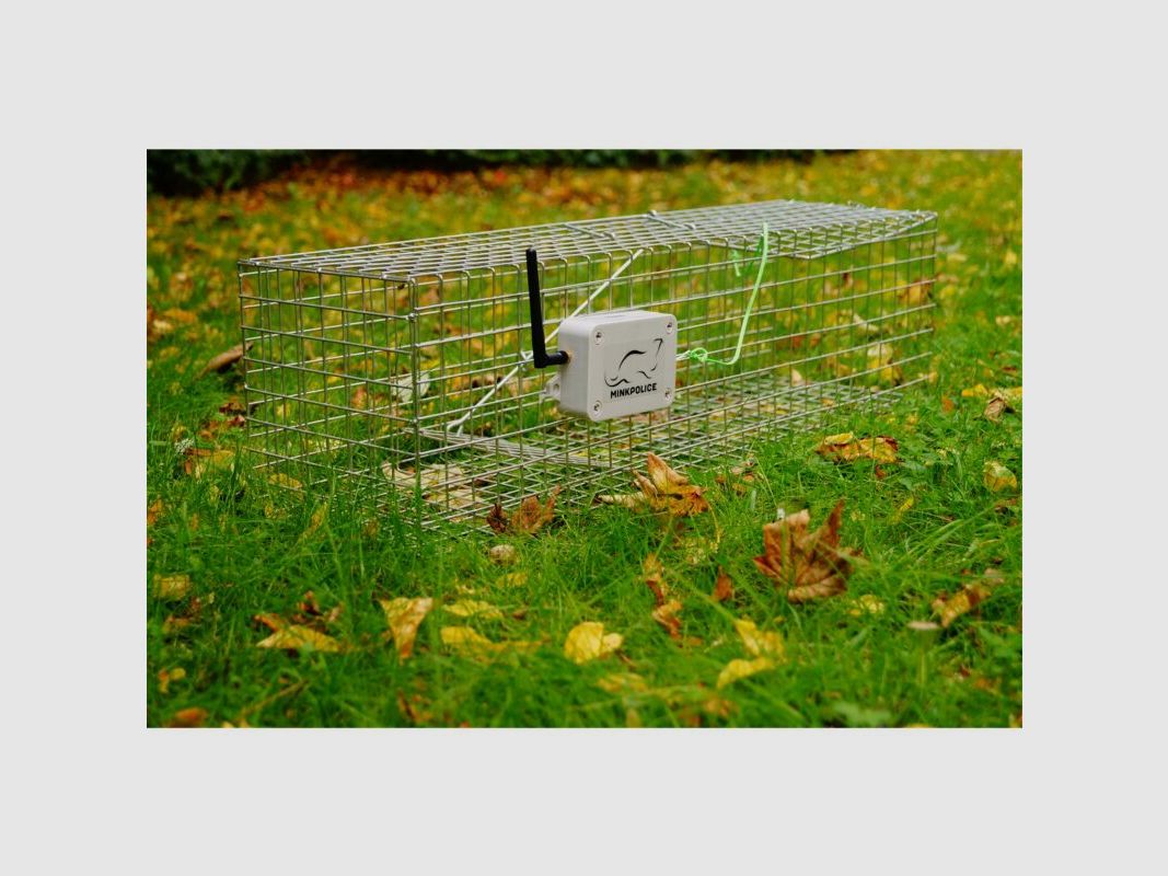 Minkpolice Fallenmelder MP5 Grün