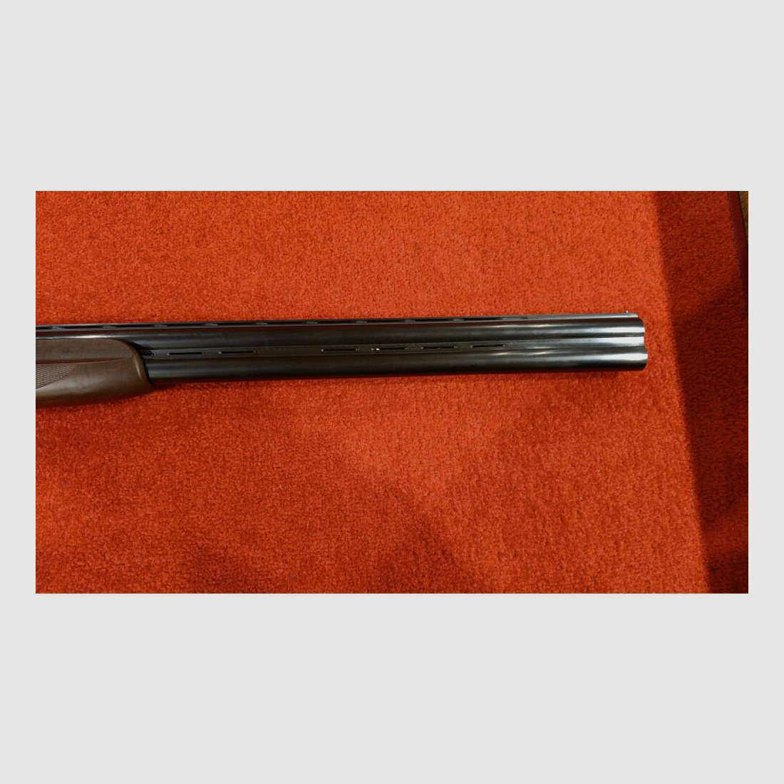 Frankonia Jagd 12/76