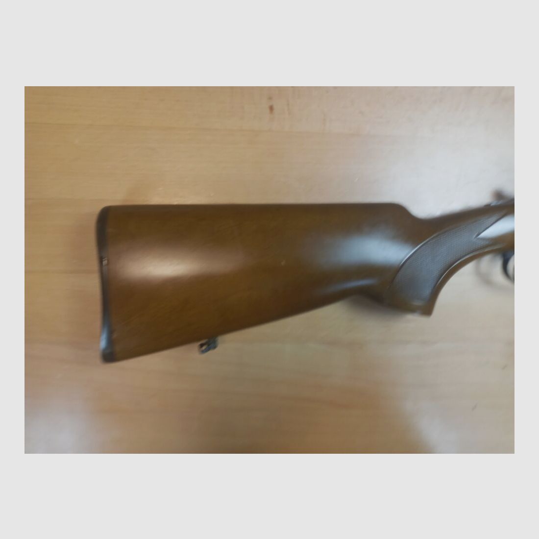 Rottweil Model 500