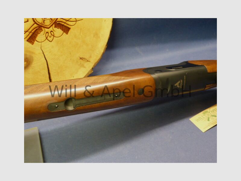 Akkar Churchill Lady Black