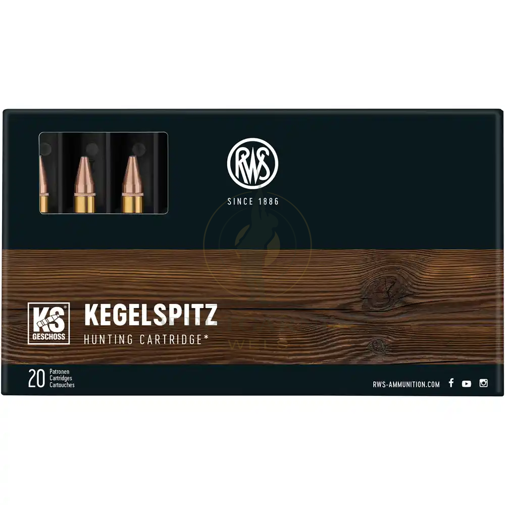 RWS .243 Win. Pointe 6,2g/96gr 20 pcs./Pkg., image 1 sur 6