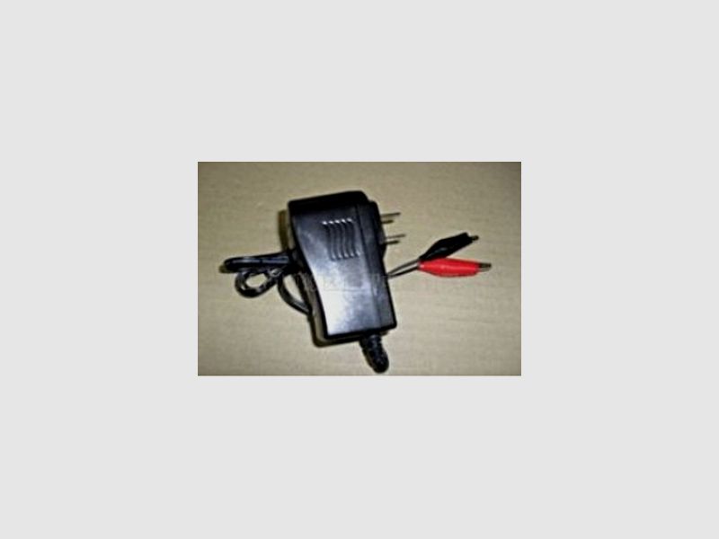 Ladegerät für Akkus 6V