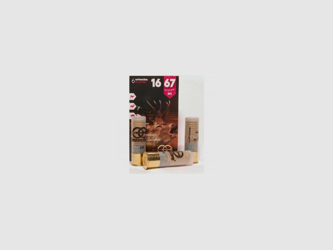 SAUVESTRE 16/67