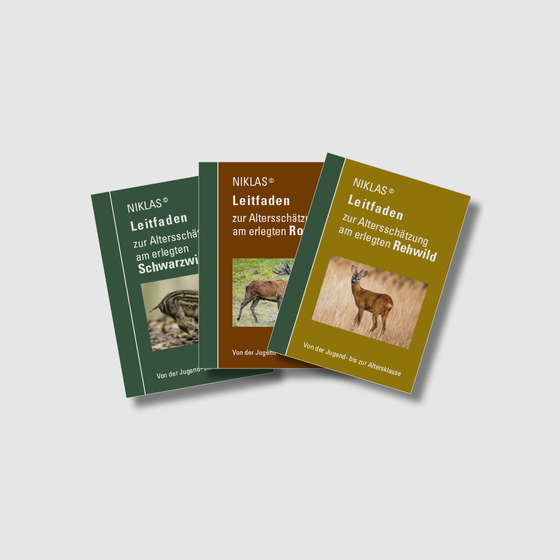NIKLAS Set "Guide to Age Estimation"