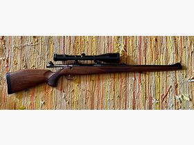 Sauer 90 30-06