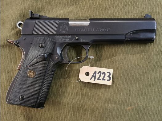 Peters Stahl 1911 in 10mm Auto