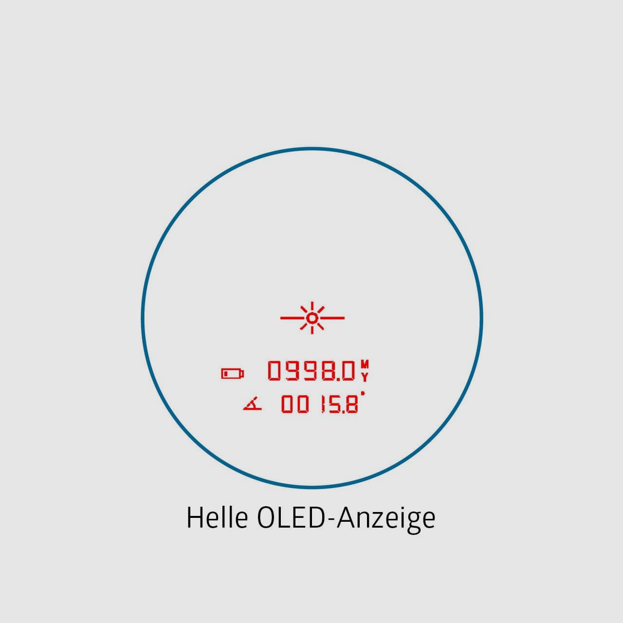 NF 10x42 R advanced | generalüberholt
