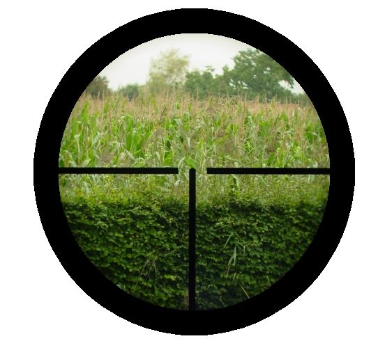The Different Reticles - Gunfinder