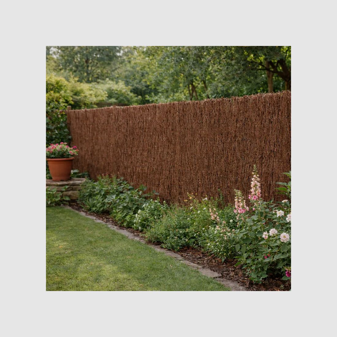 Schermatura naturale in erica 5 × 1,95 m – 0,9 kg/m², immagine 1 di 15