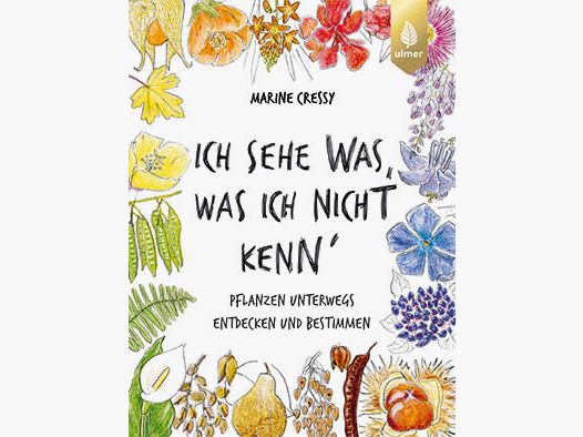 Ich sehe was, was ich nicht kenn