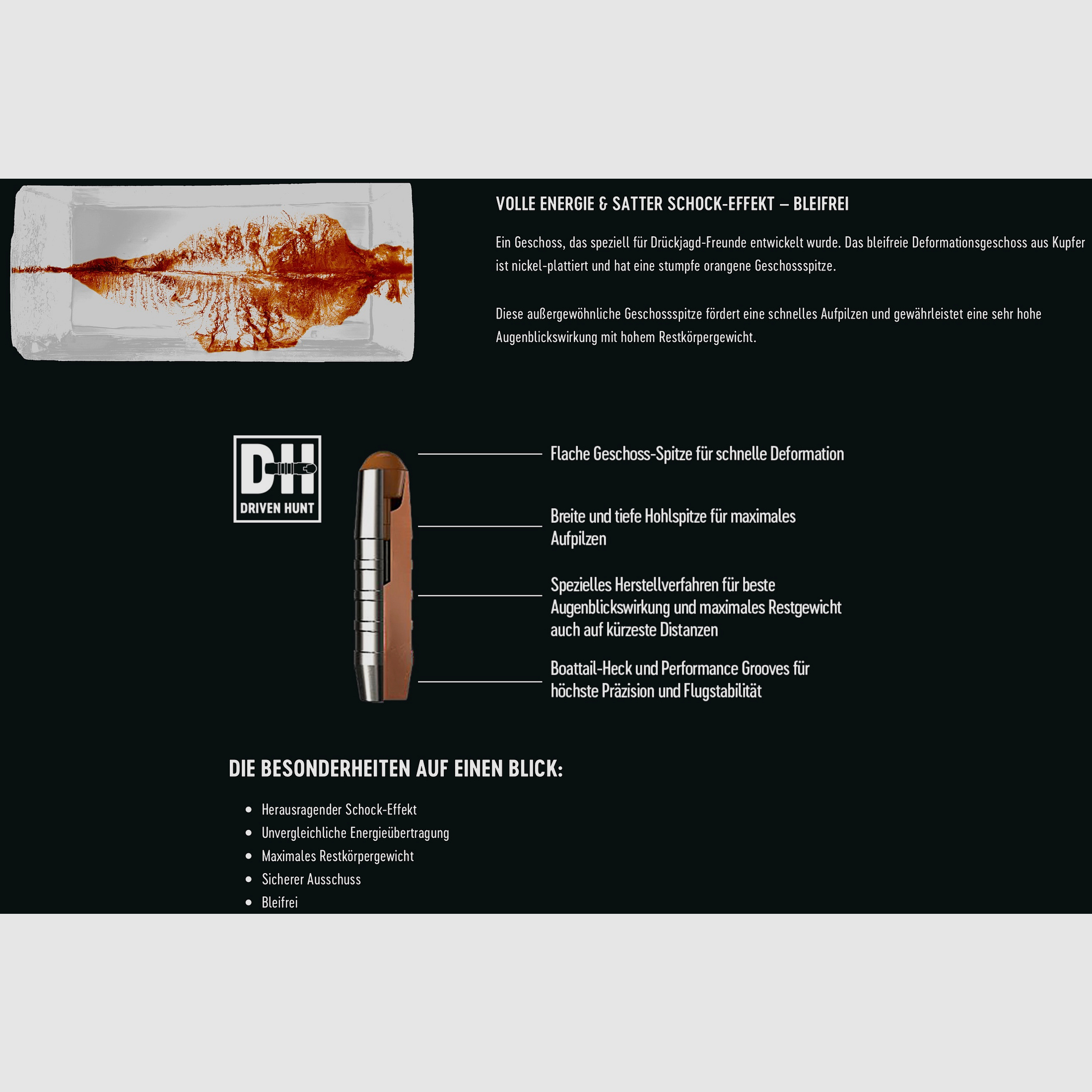 RWS 2426274 .30-06 Spr. Driven Hunt 10,7g 165grs. Bleifrei Langwaffenmunition