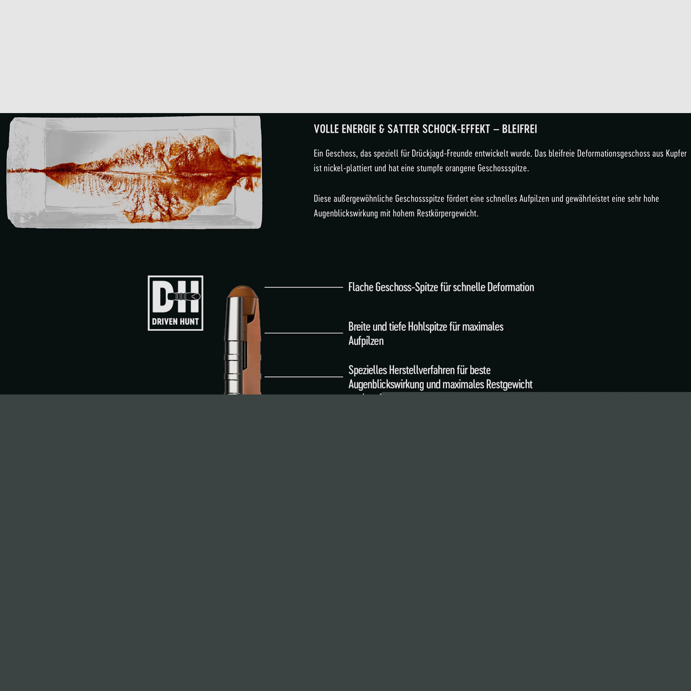 RWS 2430779 9,3x62 Driven Hunt 16,2g / 250gr. Bleifrei Langwaffenmunition