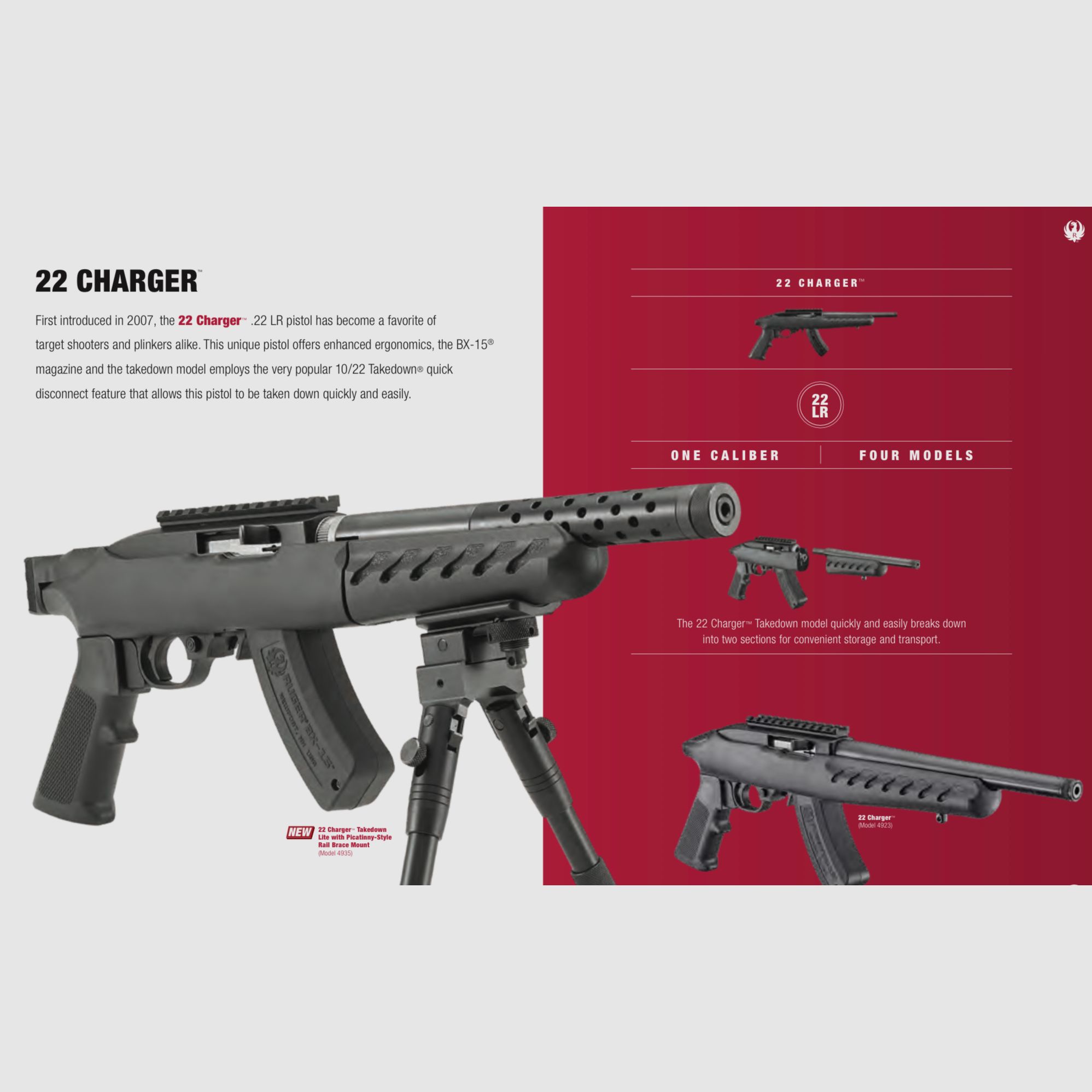 RUGER / CARABINA SEMIAUTOMÁTICA – BOLT ACTION / TODOS LOS MODELOS, imagen 4 de 16