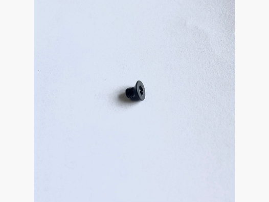 Walther 2846829 Countersunk screw M3X4 TX ISO 14581 A2 Black