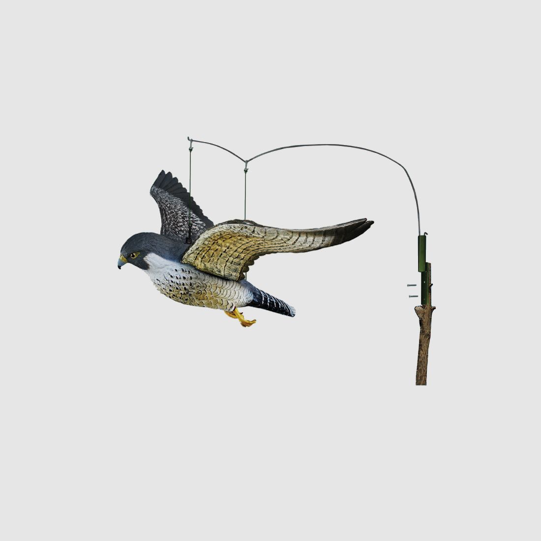 Fliegender Wanderfalke