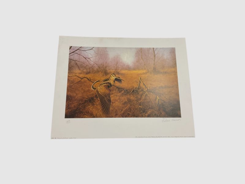 JULIAN NOVAROL – STEMPLES FÜR QUADRI „BECCACCIA“, Bild 1 von 4