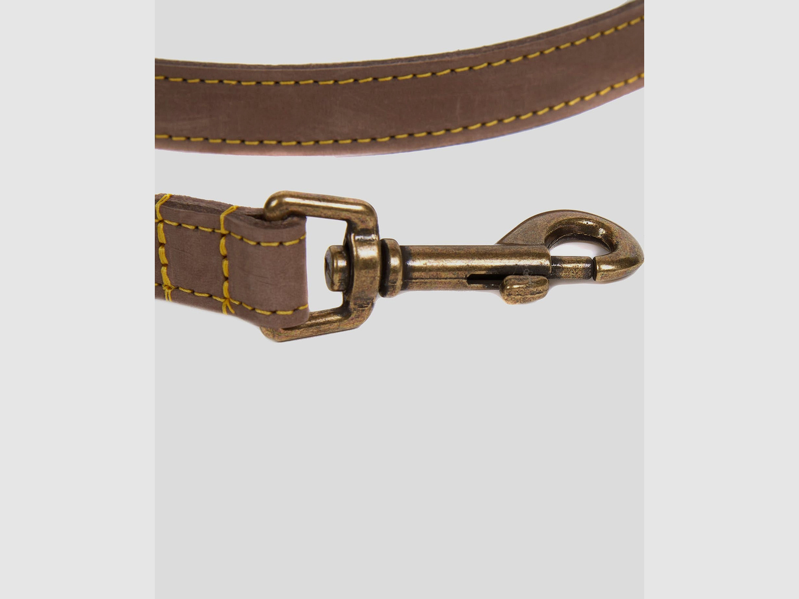 Barbour Hundeleine aus Leder
