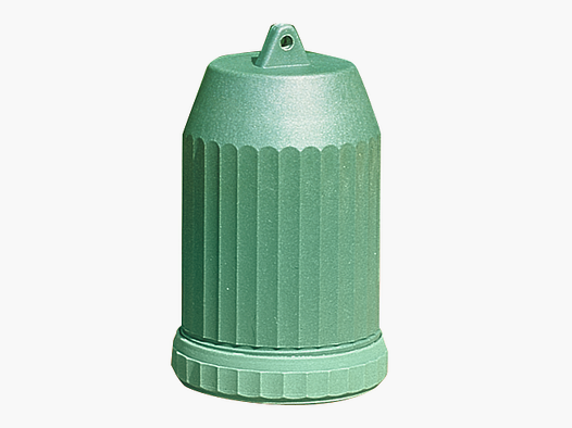 Wilduhr analog
