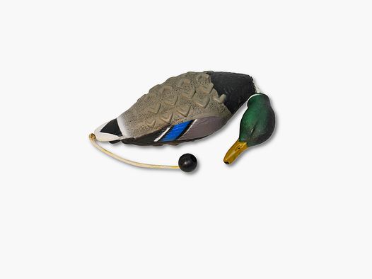 Treningowa Kaczka Avery Sporting Dog – Mallard EZ Bird
