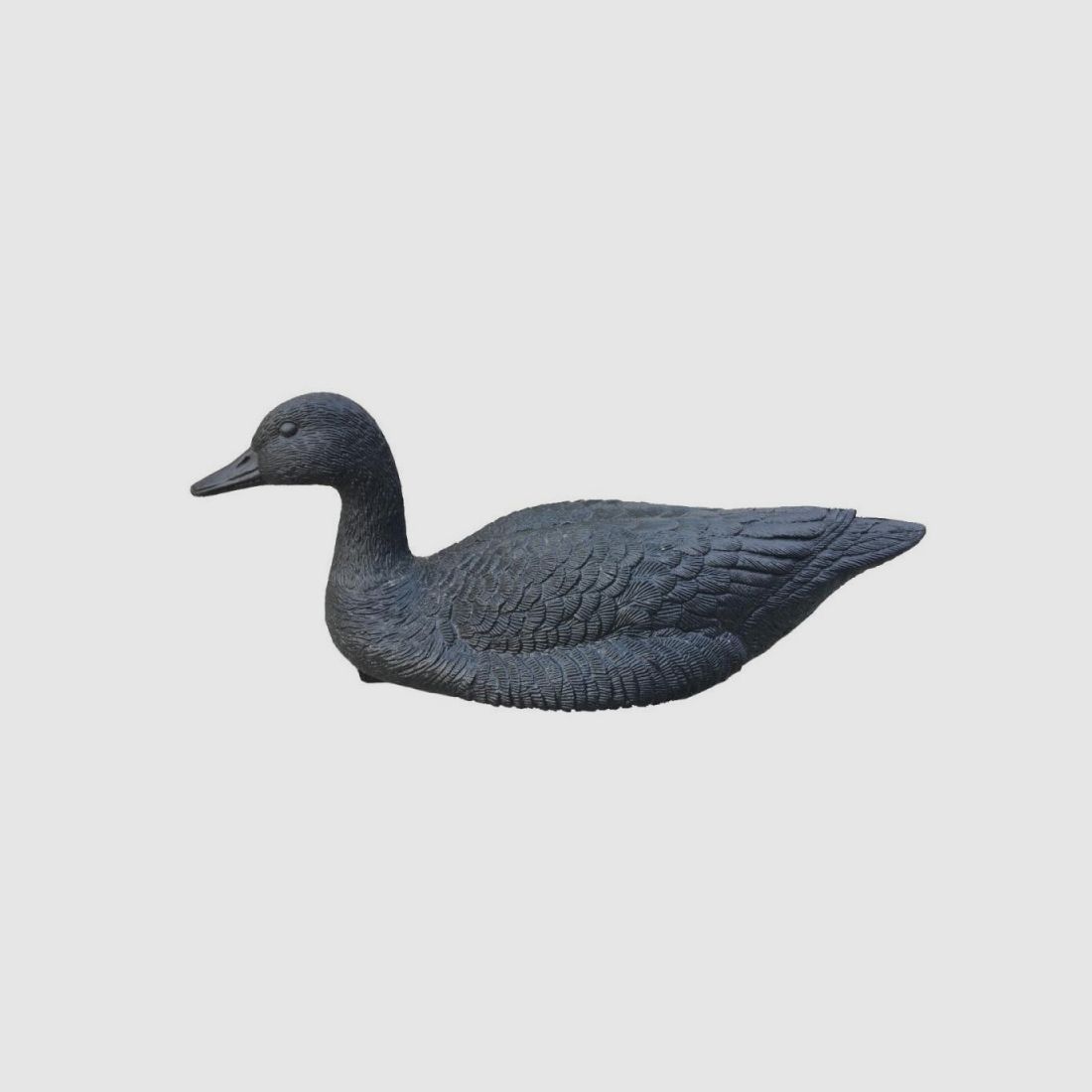 Schwarze-Gans-Ruf, Bild 2 von 2