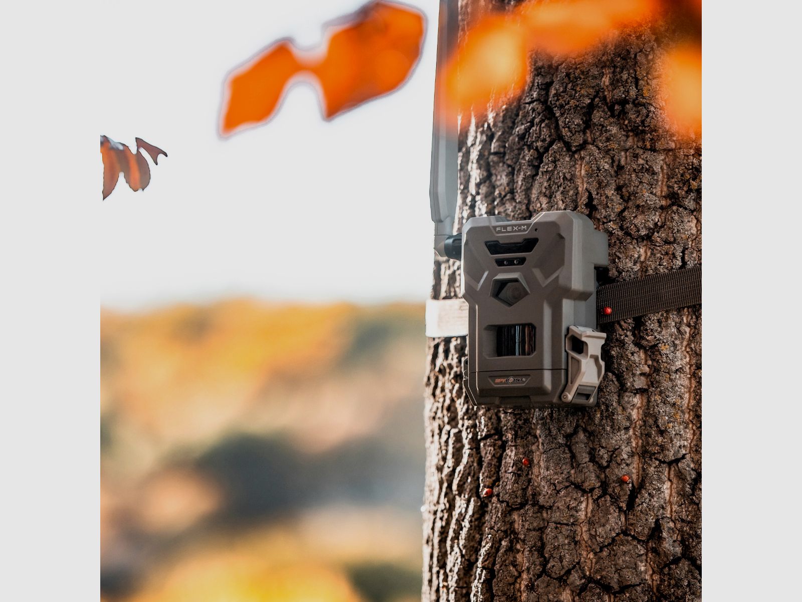 SPYPOINT FLEX-M