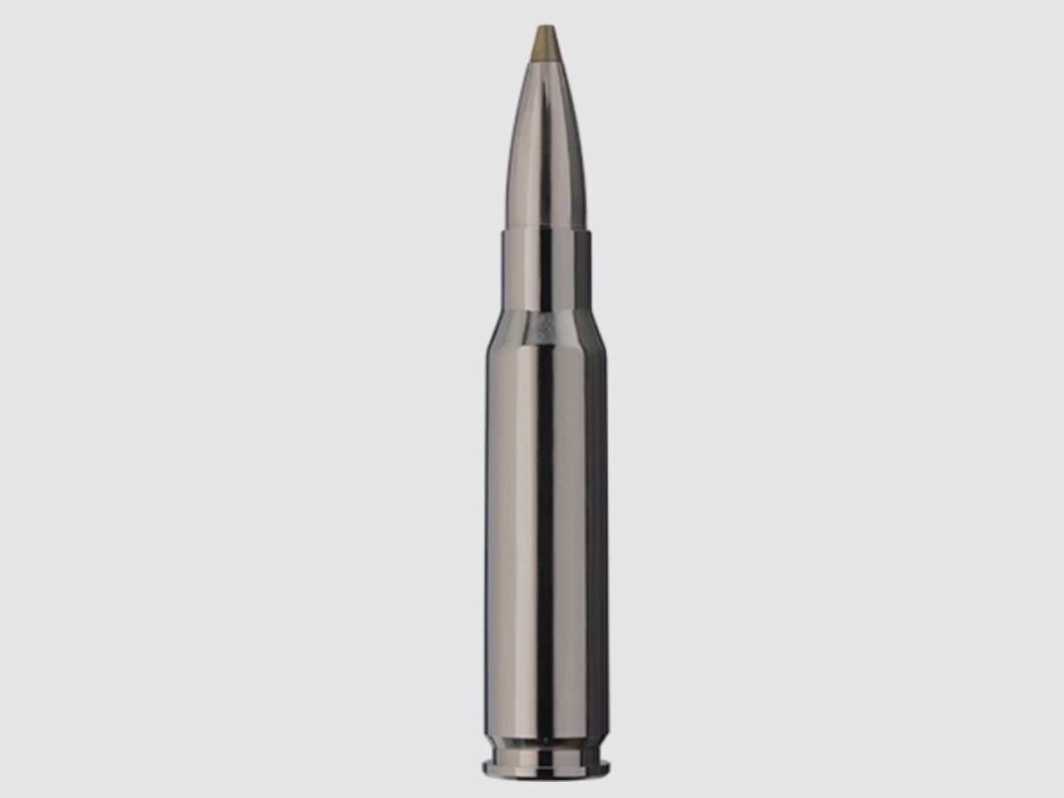 RWS 2411783 Büchsenpatronen .308 Win. Evo Green Short Rifle 9,0g 139grs.