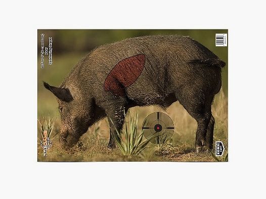 3 boards wild boar 40x60cm