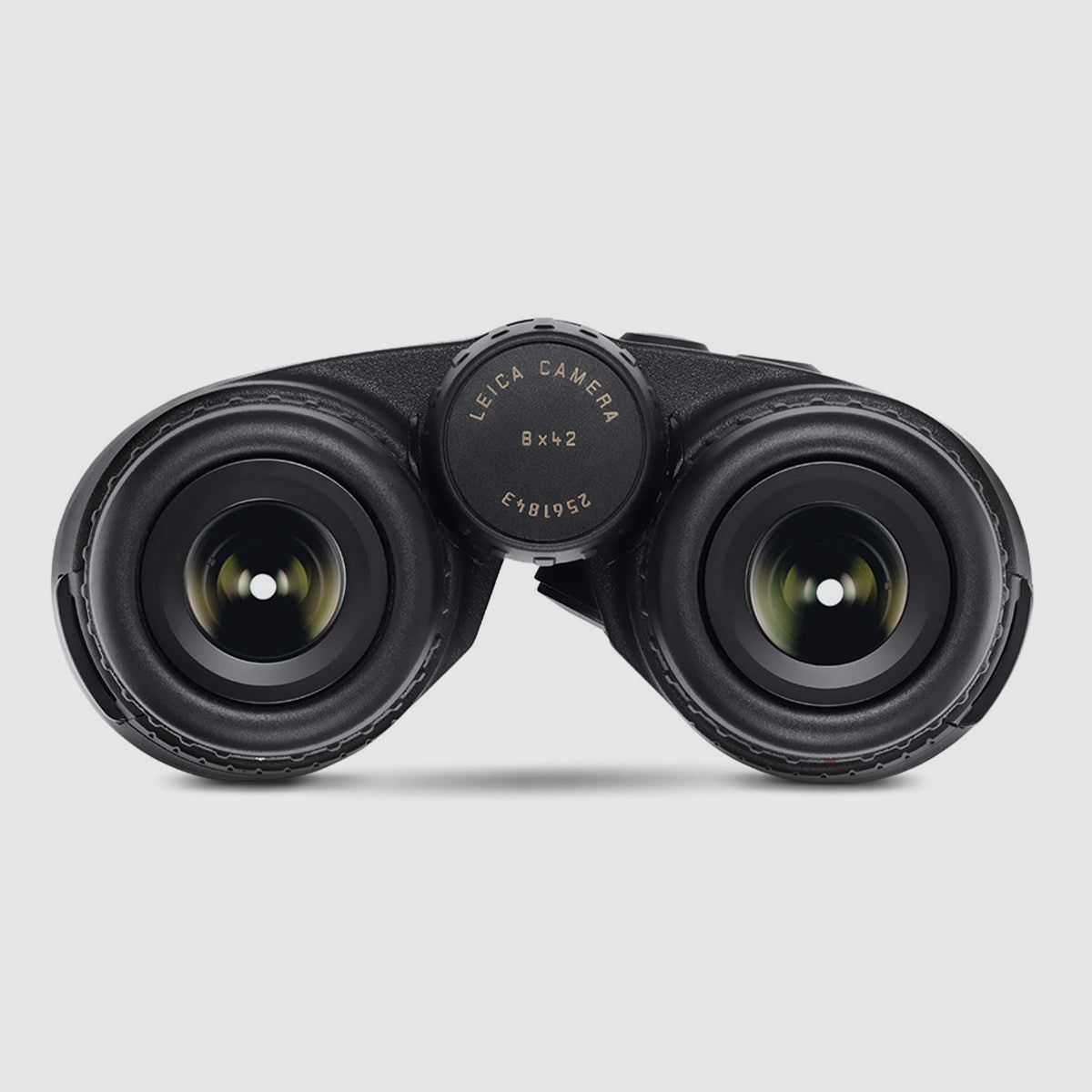 Jumelles Leica Geovid R avec télémètre 8×42 Noir, image 7 sur 8