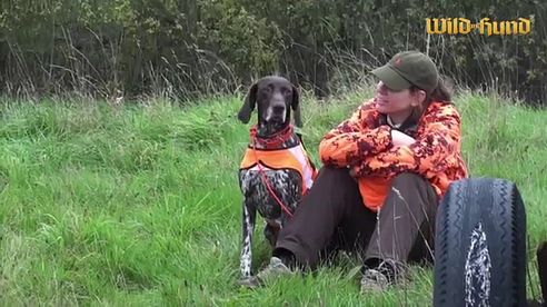 Drückjagd im WILD UND HUND-Testrevier