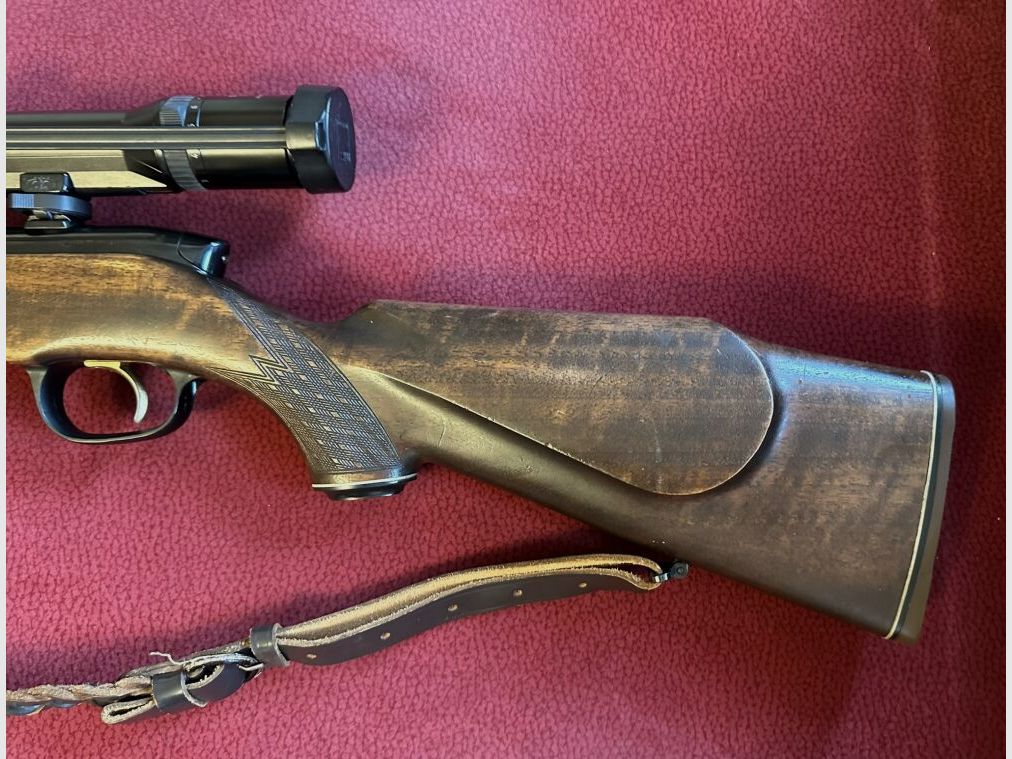 Steyr Mannlicher L