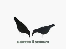 Halbschalen-Lockkrähe beflockt