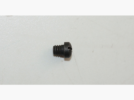 Bern Armory Used Loading Flap Spring Screw for Swiss Service Revolver 1882